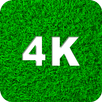 Green Wallpapers 4K APK