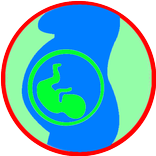 Gynecologie