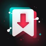 SnapTik: TT Video Downloader