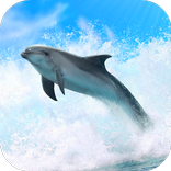 Delfini 3D. Live wallpaper.