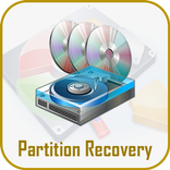 Partition Recovery
