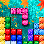 Classic brick puzzle