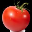 VIP TOMATO VPN APK