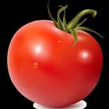 VIP TOMATO VPN