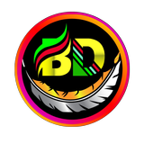 BD NET VPN APK