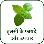 तुलसी के फायदे - Benefits of Tulsi