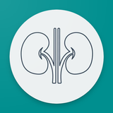 eGFR-App aplikacja