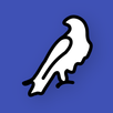Flang APK