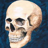 Skully Portrait Poser