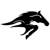 Taura Express APK
