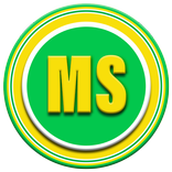 MS Tunnel