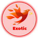 Exotic Tunnel Plus APK