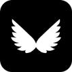 Wing VPN ikon