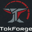 TokForge Local AI Offline Chat icon