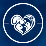 mPets – Bringing Pets Together