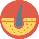 Dermatologie APK