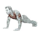 Pushup