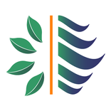 Insight Energy