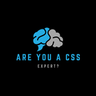 Are You A CSS Expert? icon