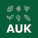 ”Auk Connect