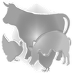 FARAD's VetGRAM icon