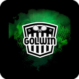 Golwin