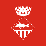 Ajuntament Mollet del Vallès