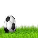 APK Footy Rush