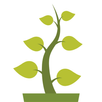hydroponics Indoor Plants Wate APK