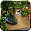 Koi Free Live Wallpaper APK