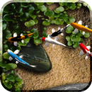 Koi Free Live Wallpaper APK