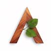 Airswop icon