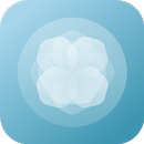 Frost KWGT APK