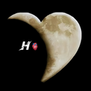 My Name Live Wallpaper-APK