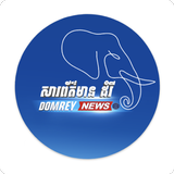 Domrey News APK