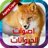 أصوات الحيوانات صوت وصورة