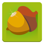 Wild Nuts - best squirrel game