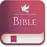 Hindi English Bible Offline