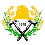 FSDSGA