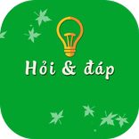 Hỏi Đáp
