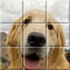 Slide Puzzle World APK