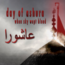 Ashura  Live Wallpaper APK