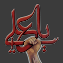 Naara E Haideri - Shia Tools APK