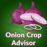 Onion Crop Advisor