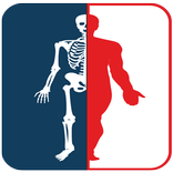 Digital X-Ray