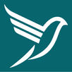 StepFly CA CS CMA Preparation APK