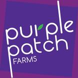 Purple Patch Farms: Farm Fresh