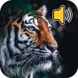 Animal Sounds: Ringtones