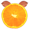 Raspi-R APK