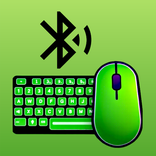 Bluetooth Mouse and Keyboard